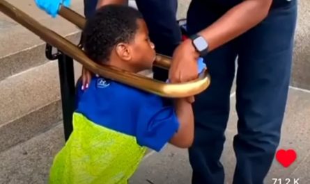 $100 if you stick your head in there