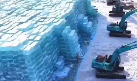 How China Farms Ice for the Harbin Snow Festival!