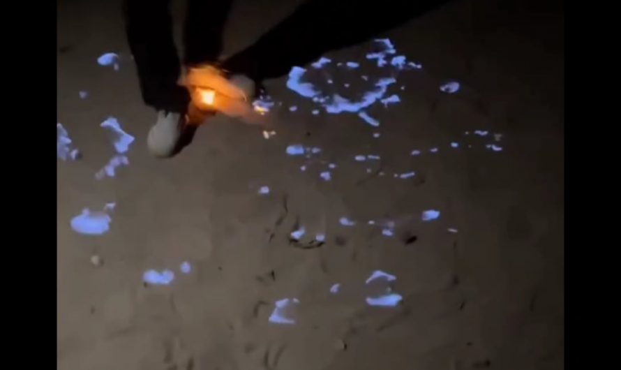 Haripur’s ‘Fire Mountain’ Continues to Burn Decades After 1955 Gas Blast