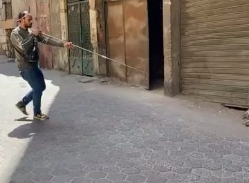 Vaccinating street dogs via blow-dart in Egypt