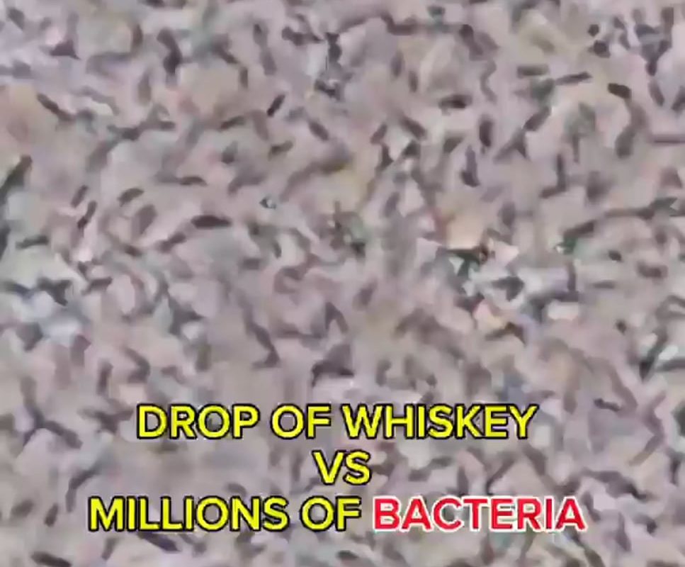 A Drop of Whiskey vs Bacteria