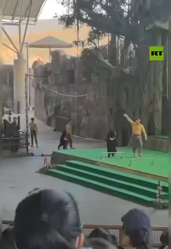 A bear, exhausfrom abuse, attacks its trainer.