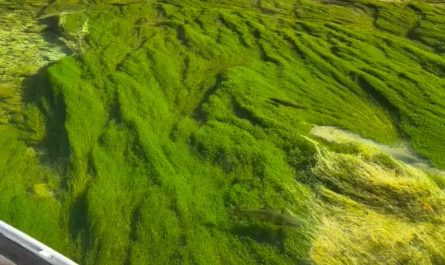 A crystal clear clean river