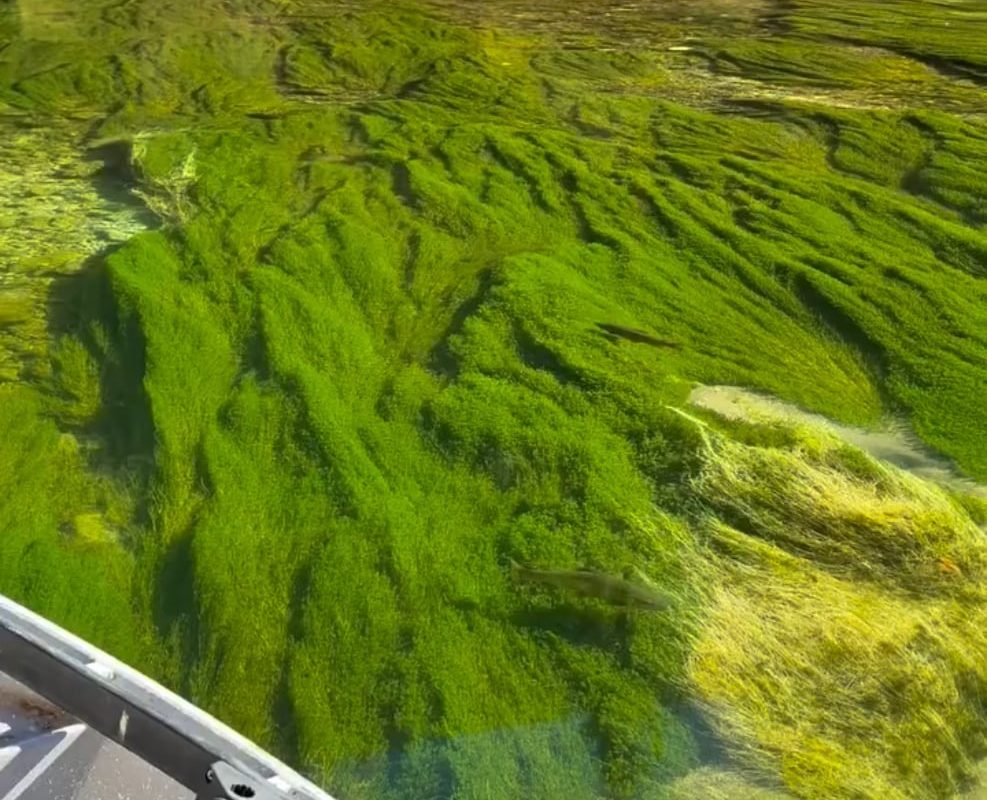 A crystal clear clean river