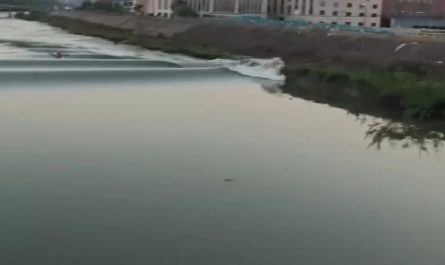 A lone kayaker riding the tide