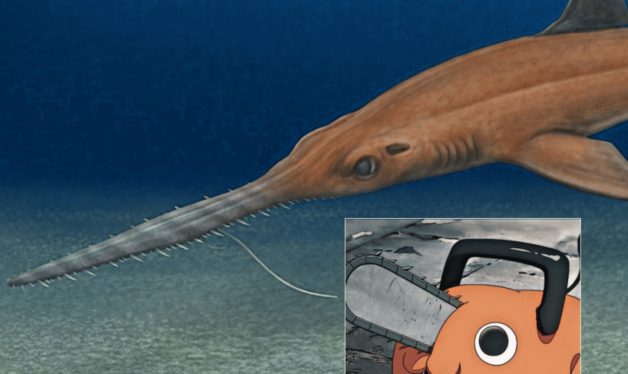 A new species of prehistoric shark, Pochitaserra patriciacanalesae, has been named after Pochita from Chainsaw Man.