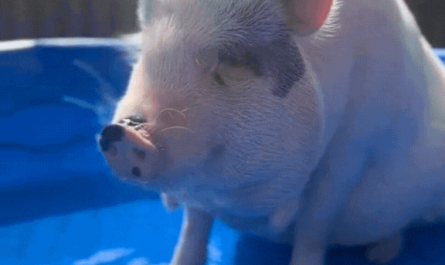 A quick splash in the pool