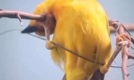 A real architecture!