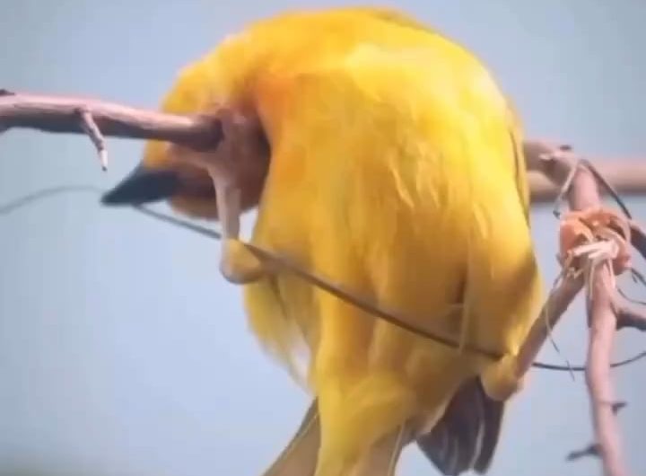 A real architecture!