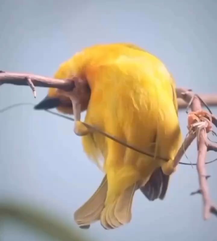 A real architecture!