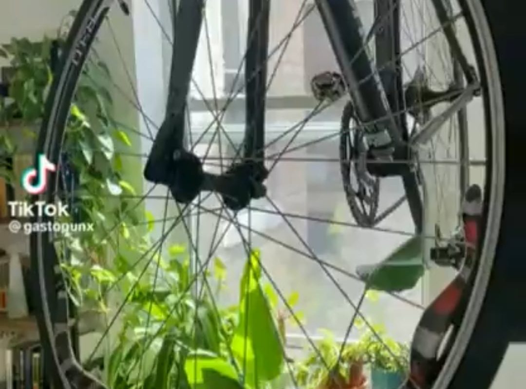 A snake gracefully maneuvering through the spokes of a bicycle, creating a mesmerizing dance of its own