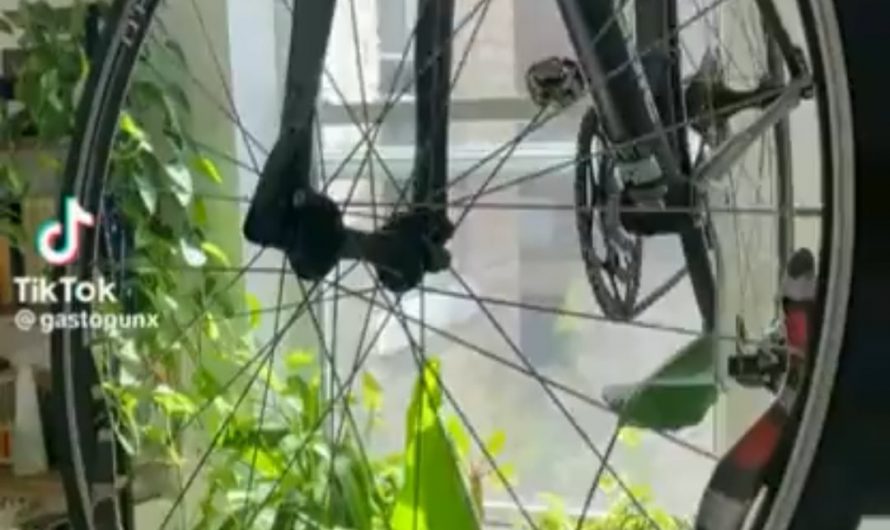 A snake gracefully maneuvering through the spokes of a bicycle, creating a mesmerizing dance of its own