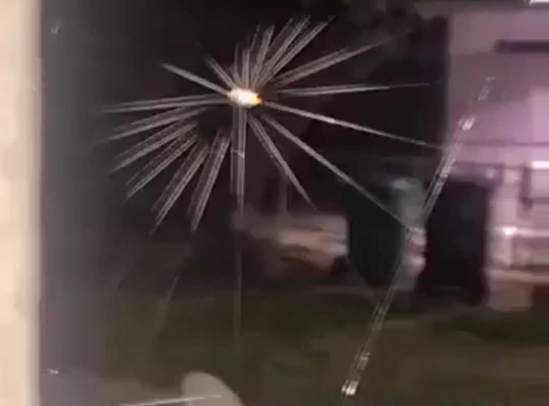 A spider creates webs with mathematical accuracy