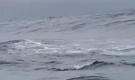 A surfer is carving the wave, and it looks unbelievably…