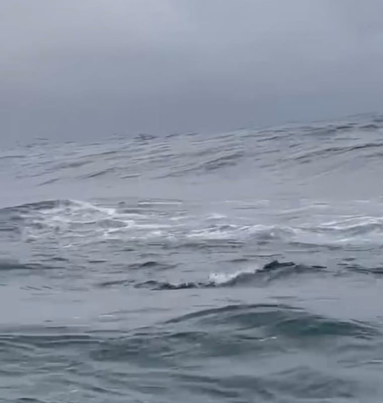 A surfer is carving the wave, and it looks unbelievably…