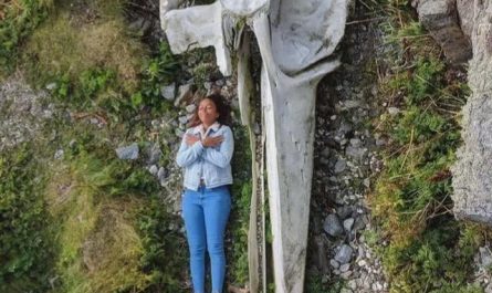 A whale skull with a human for scale ⚖