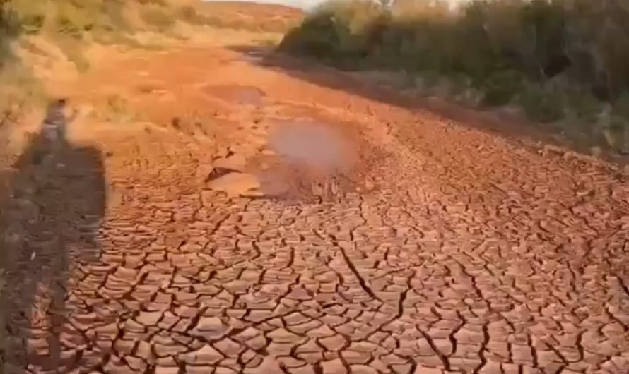 After a long drought, feels calming and somehow wholesome.