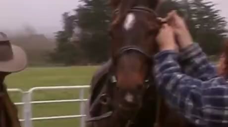 After the filming of The Lord of The Rings (2003), Viggo Mortensen bought a horse for a stunt double who had bonded closely with the horse but couldn't afford to buy it. In return, she cared for the horse that Viggo had bought for himself after filming (his horse Brego from the movie) in New Zealand