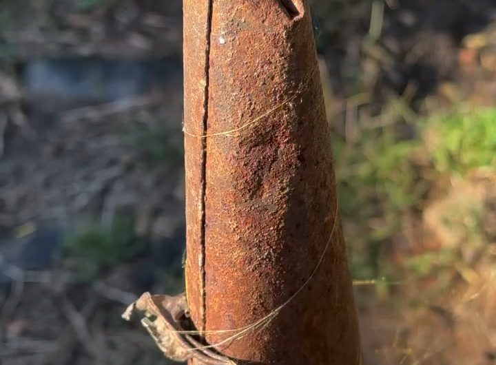 Amazed by the strength of this spider web