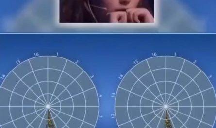 An 11 year old German girl can spot the difference between two circles full of colored dots