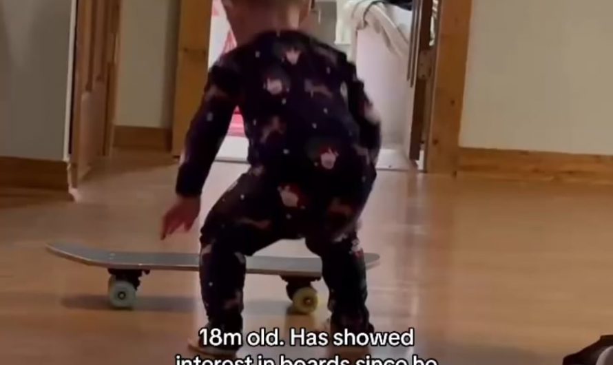 An 18 month old on a skateboard