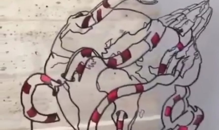 Artist Matthieu Robert-Ortis Creates Dynamic Anamorphic Illusions Where 2D Drawings Morph into 3D Sculptures