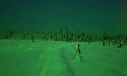 Aurora was to bright the ground turned green