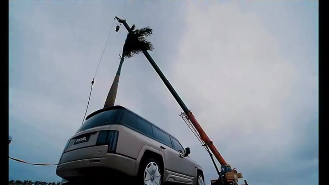 BYD Dropped A 13-Meter Palm Tree Onto The Yangwang U8 Three Times To Prove It Could Survive Anything