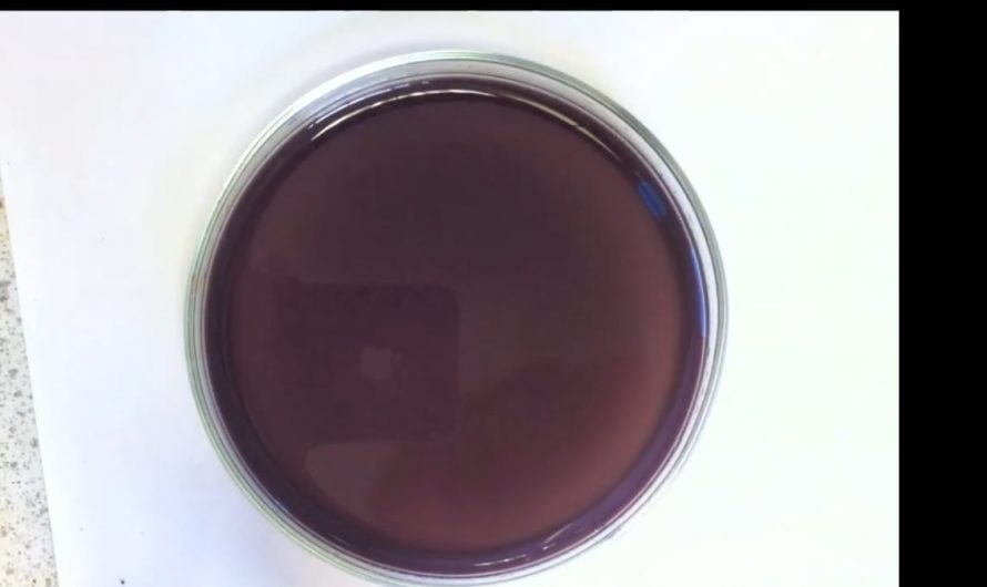 Belousov-Zhabotinsky Reaction; hands down one of the most visually stunning chemical reactions.