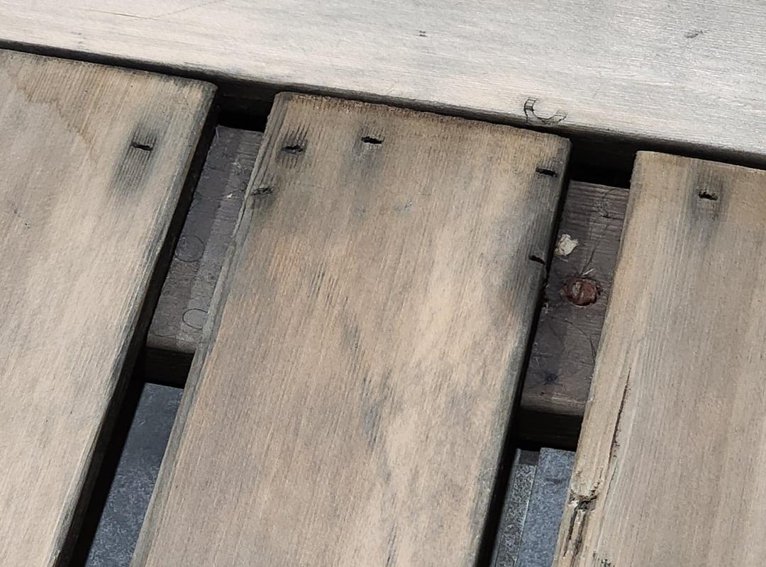 Board in my sauna looks like a Cappybara