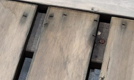 Board in my sauna looks like a Cappybara