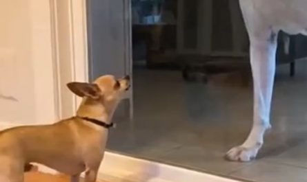 Bro froze instantly 😅