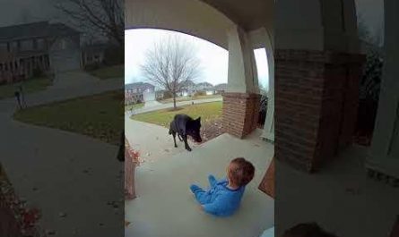 Bro wtf you need to try to be a superhero?