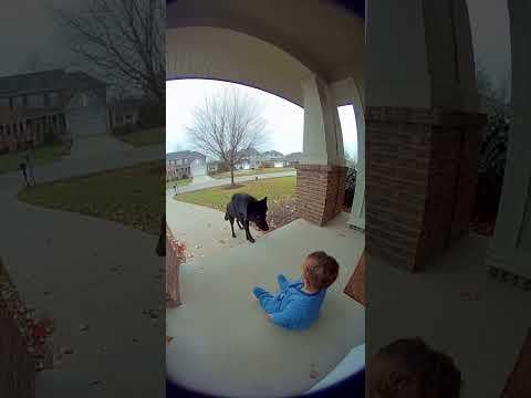 Bro wtf you need to try to be a superhero?