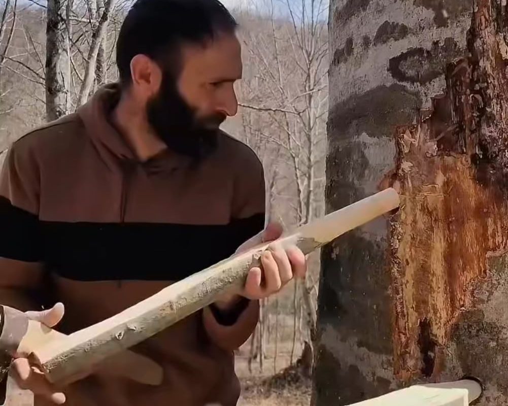 Building a risky tree hut to survive the forest 😳