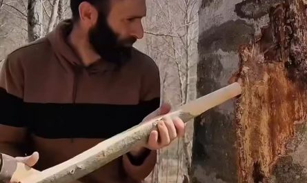 Building a risky tree hut to survive the forest 😳