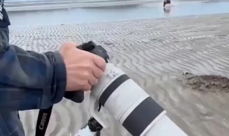 Cameraman scares off a charging bear