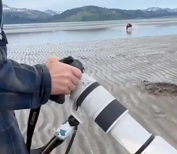 Cameraman scares off a charging bear