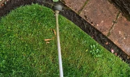 Carving a clean boundary between the grass and the walkway using a trimmer.