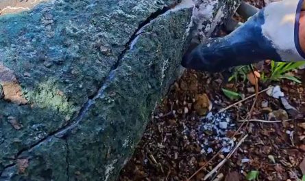 Cracking an Amethyst geode - Crystals inside