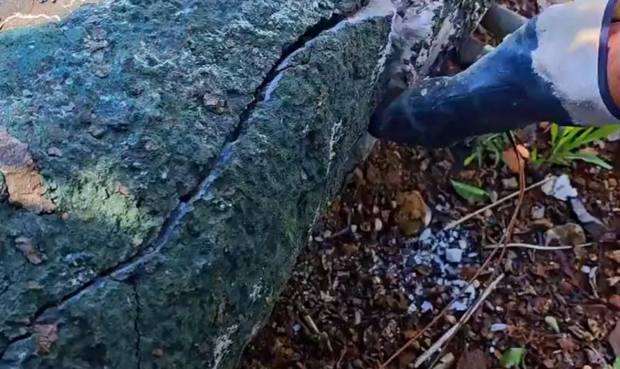 Cracking an Amethyst geode – Crystals inside