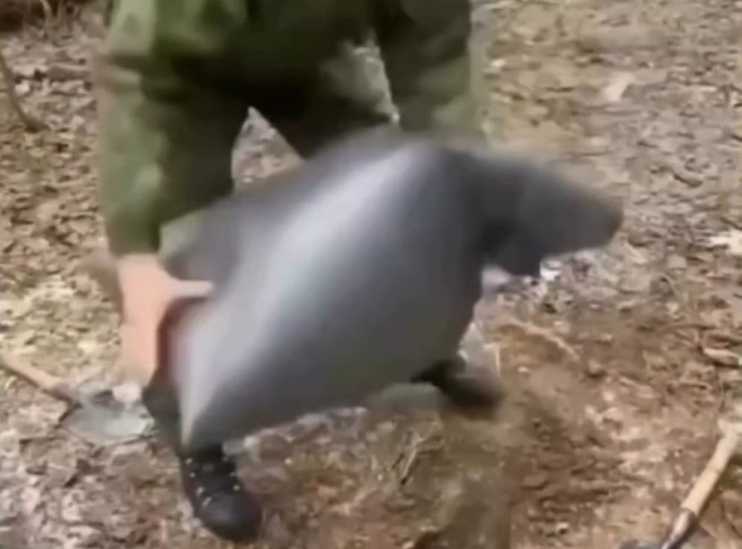 Dakota fire hole method for camp fire