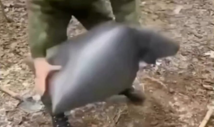 Dakota fire hole method for camp fire