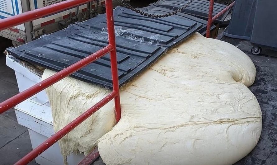 Discarded dough doesn’t stop rising.  If there’s enough warmth and moisture, the yeast keeps fermenting.  Even in the dumpster