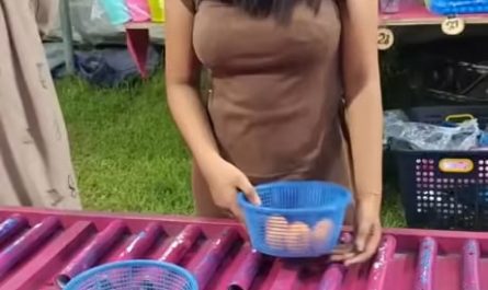 Divided by countries united by thoughts