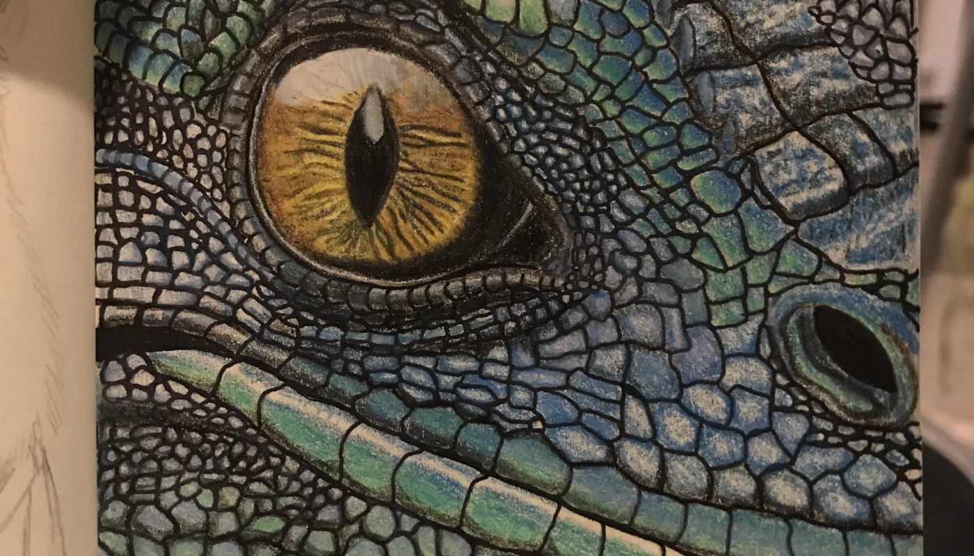 Does this colored pencil drawing count?