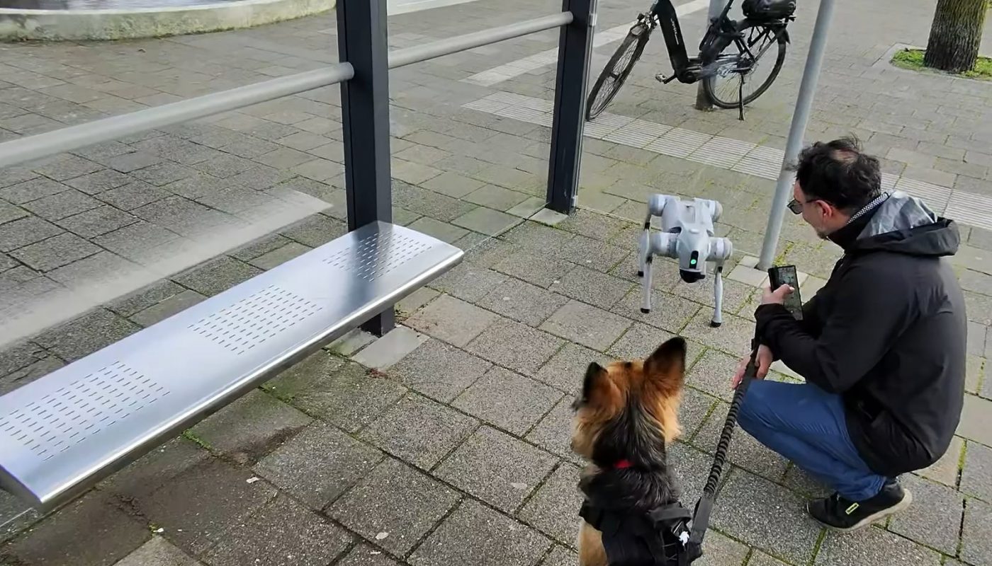 Dog meets robot dog, bites me instead