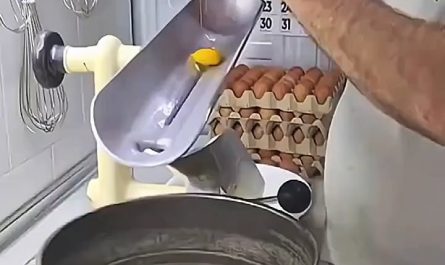 Egg yolk and egg white separator