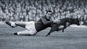 England goalkeeper Gordon Banks catches a dog (1965)