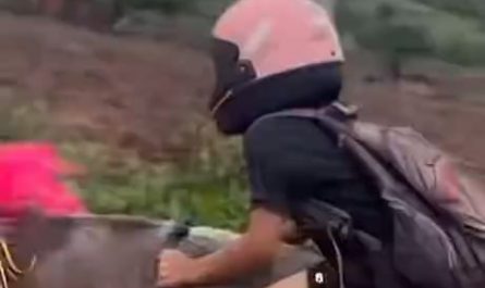 Everyone wants a hellcat. This kid got a Hellpork